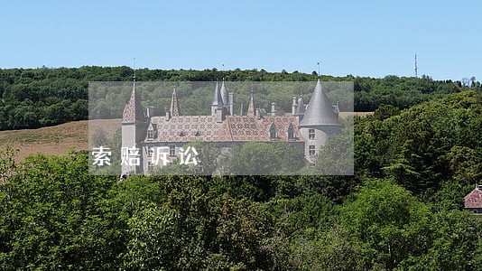 索赔诉讼 索赔诉讼