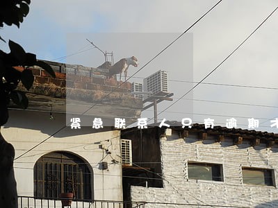 紧急联系人只有逾期才打 紧急联系人只有逾期才打