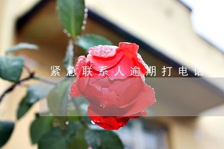 紧急联系人逾期打电话 紧急联系人逾期打电话