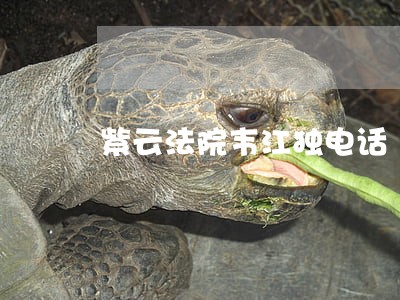紫云法院韦江独电话 紫云法院韦江独电话