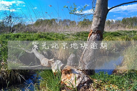 紫光北京地块逾期 紫光北京地块逾期