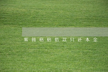 紫薇格格借款只还本金 紫薇格格借款只还本金