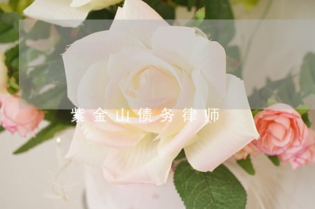 紫金山债务律师 紫金山债务律师