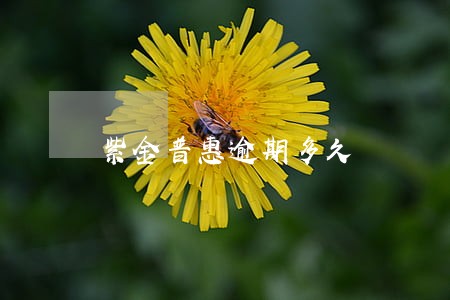 紫金普惠逾期多久 紫金普惠逾期多久
