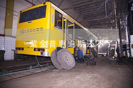 紫金普惠逾期还不了 紫金普惠逾期还不了