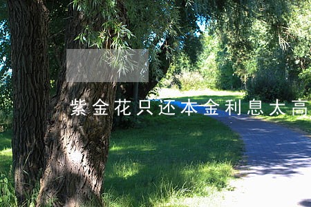 紫金花只还本金利息太高了 紫金花只还本金利息太高了