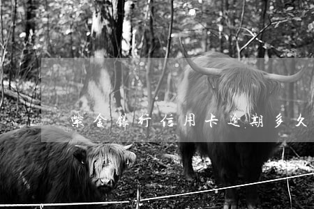 紫金银行信用卡逾期多久上征信