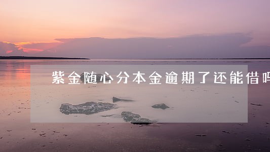 紫金随心分本金逾期了还能借吗