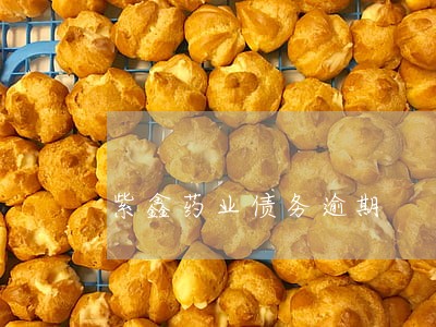 紫鑫药业债务逾期 紫鑫药业债务逾期