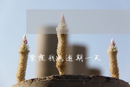 紫霞钱包逾期一天 紫霞钱包逾期一天