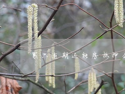 累六逾期还能房抵押么 累六逾期还能房抵押么