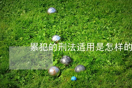累犯的刑法适用是怎样的 累犯的刑法适用是怎样的