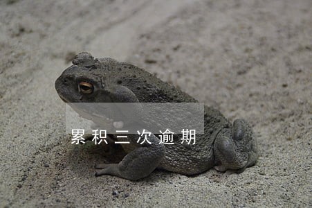 累积三次逾期
