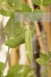 累积三次逾期几年消除 累积三次逾期几年消除