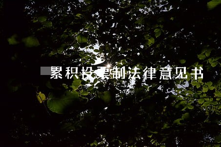 累积投票制法律意见书