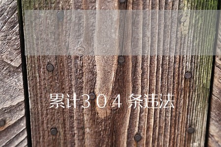 累计304条违法 累计304条违法