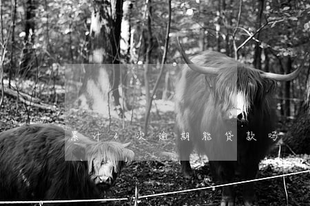 累计4次逾期能贷款吗 累计4次逾期能贷款吗