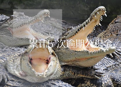 累计5次逾期公积金 累计5次逾期公积金