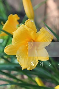 累计5次逾期公积金可以贷款吗 累计5次逾期公积金可以贷款吗