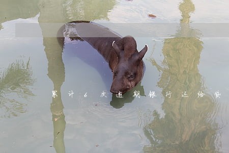 累计6次逾期银行还给贷款吗 累计6次逾期银行还给贷款吗