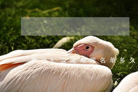 累计6次逾期黑名单多久消除