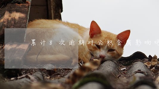 累计8次逾期对公积金有影响吗 累计8次逾期对公积金有影响吗