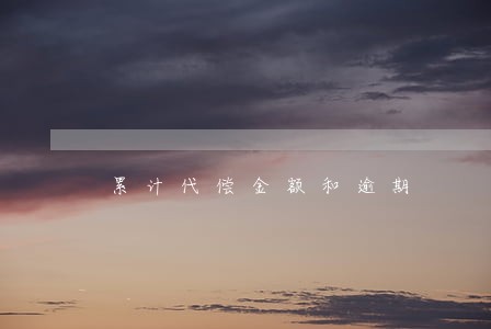 累计代偿金额和逾期 累计代偿金额和逾期
