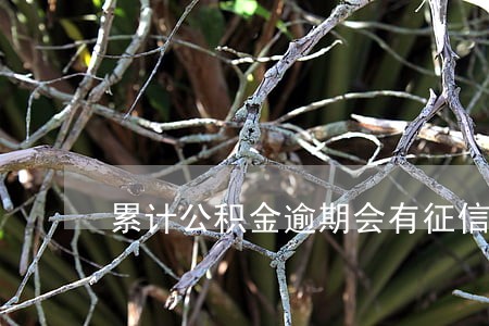 累计公积金逾期会有征信问题吗 累计公积金逾期会有征信问题吗