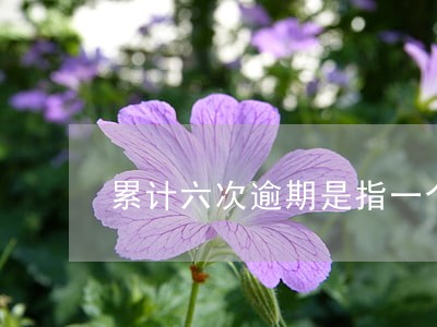 累计六次逾期是指一个账户吗 累计六次逾期是指一个账户吗