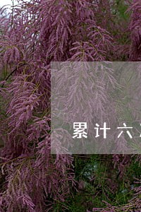 累计六次逾期算黑户么 累计六次逾期算黑户么