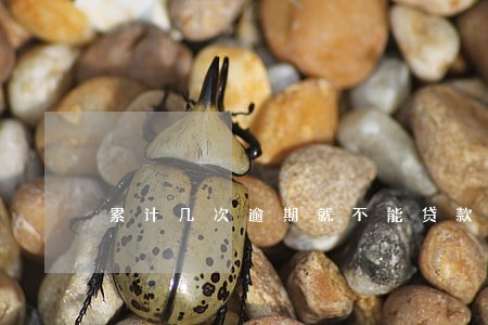 累计几次逾期就不能贷款了 累计几次逾期就不能贷款了
