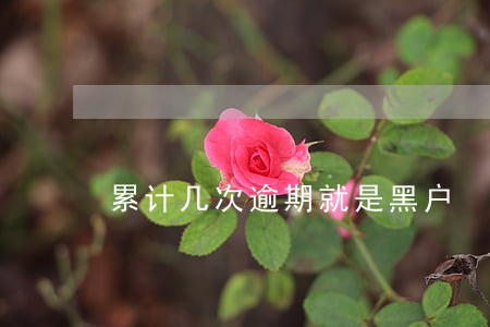 累计几次逾期就是黑户 累计几次逾期就是黑户