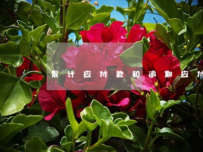 累计应付款和逾期应付款 累计应付款和逾期应付款