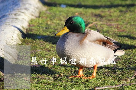 累计申报逾期未报税