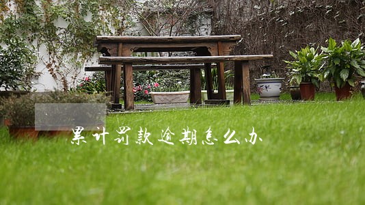 累计罚款逾期怎么办 累计罚款逾期怎么办