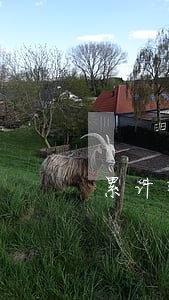 累计转逾期金额