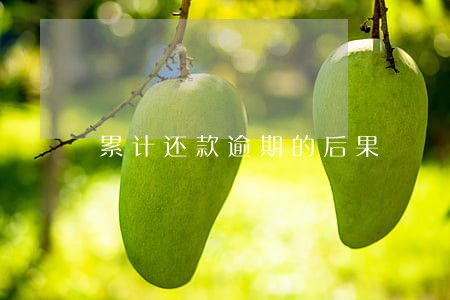 累计还款逾期的后果 累计还款逾期的后果
