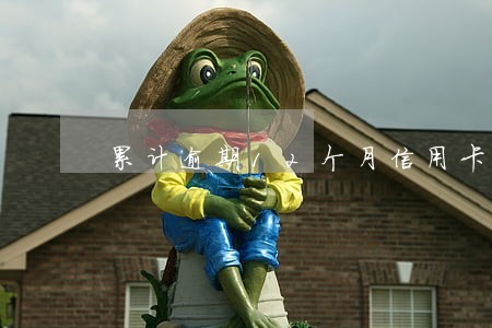 累计逾期12个月信用卡