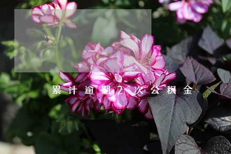 累计逾期2次公积金 累计逾期2次公积金