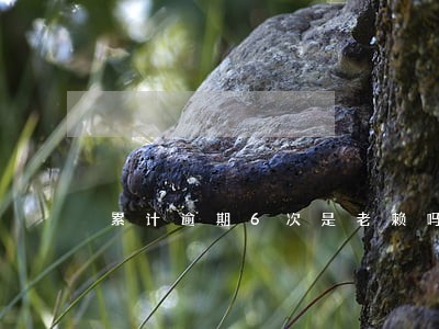 累计逾期6次是老赖吗 累计逾期6次是老赖吗