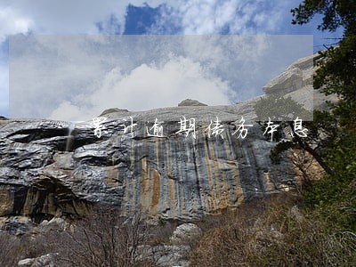 累计逾期债务本息 累计逾期债务本息