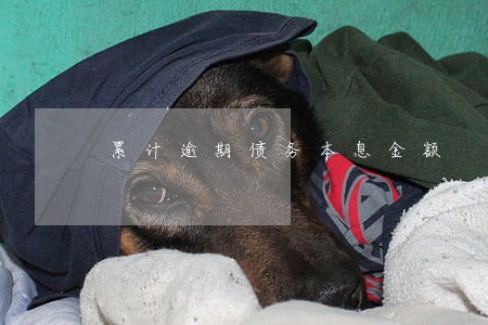 累计逾期债务本息金额 累计逾期债务本息金额