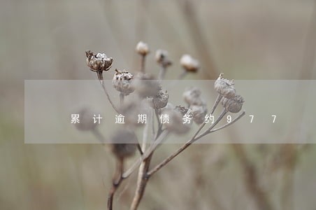 累计逾期债务约977 累计逾期债务约977
