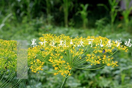 累计逾期六次可以房贷吗 累计逾期六次可以房贷吗