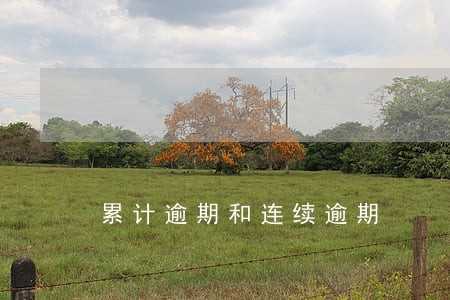 累计逾期和连续逾期 累计逾期和连续逾期
