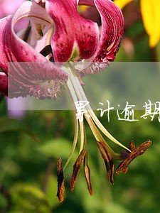 累计逾期本息怎么解决 累计逾期本息怎么解决