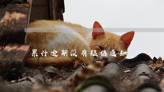 累计逾期没有短信通知 累计逾期没有短信通知