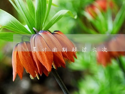 累计逾期超过六次 累计逾期超过六次