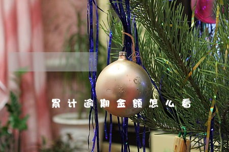 累计逾期金额怎么看 累计逾期金额怎么看