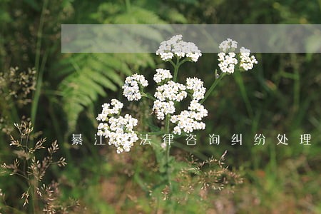 綦江区法律咨询纠纷处理 綦江区法律咨询纠纷处理